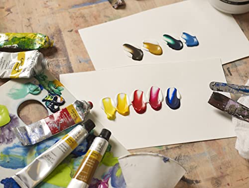 Winsor and Newton Galeria Acrylic Paint Set of 10 Colours in 20 ml Tubes, Water Based Paint, Ideal for Paper, Canvas, Wood, Ceramic and Fabric