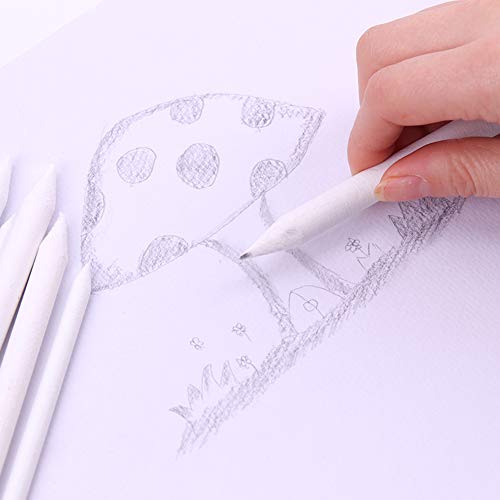 BEHAHAI 13 PCS Art Blenders, 12 Paper Blending Stumps and Tortillions Set Sketch Drawing Accessories Art Graphite Blender Stick Tortillions Sandpaper Pencil Pointer with 1 Sandpaper Pencil Sharpener