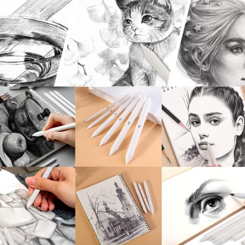 12 Pcs Blending Stump Paper Tortillon Set Double Ended Art Blender Pencil Detail Blending Smudging Shade Drawing Tools for DIY Sketch Painting Drawing （ with 1 Sandpaper Pencil Sharpener ）