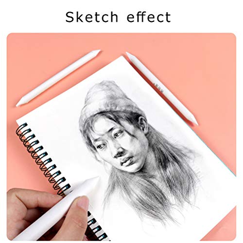 6 Pcs Drawing Stumps, Blending Stumps and Tortillions Set, Art Blending Set, Blending Stubs Blending Sticks for Art Drawing Artist DIY