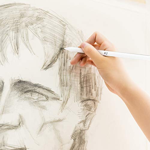 16 Pcs Blending Stumps and Tortillions, Art Blending Pencils Tools, Sandpaper Pencil Blender Stumps for Drawing, Sketching, Artists