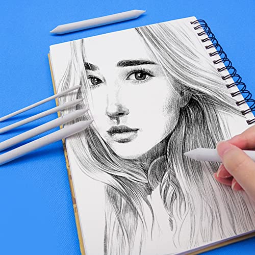 9 Pcs Drawing Stumps, Blending Stumps and Tortillions Set, Art Blending Set, Blending Stubs Blending Sticks for Drawing DIY Sketch Painting Artist Student Beginner