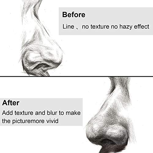 12 Pcs Blending Stump and Tortillions, Paper Art Blenders, Art Pencils, Drawing Pencils for Artists Student Sketch Drawing Tools, Drawing Supplies