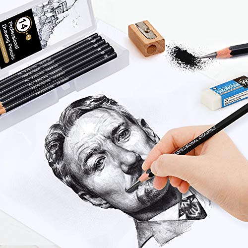 Telgoner Sketching Pencils, 17pcs Drawing Pencils Sketch Pencil Set 12B 10B 8B 7B 6B 5B 4B 3B 2B B HB 2H 4H 6H Artist Pencil for Kids & Adults Art Pencils with Eraser Sharpener Pencil Case