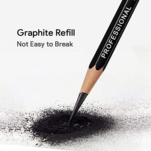 Telgoner Sketching Pencils, 17pcs Drawing Pencils Sketch Pencil Set 12B 10B 8B 7B 6B 5B 4B 3B 2B B HB 2H 4H 6H Artist Pencil for Kids & Adults Art Pencils with Eraser Sharpener Pencil Case