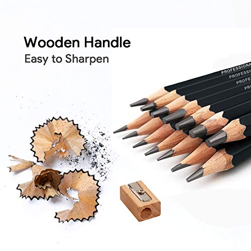 Telgoner Sketching Pencils, 17pcs Drawing Pencils Sketch Pencil Set 12B 10B 8B 7B 6B 5B 4B 3B 2B B HB 2H 4H 6H Artist Pencil for Kids & Adults Art Pencils with Eraser Sharpener Pencil Case
