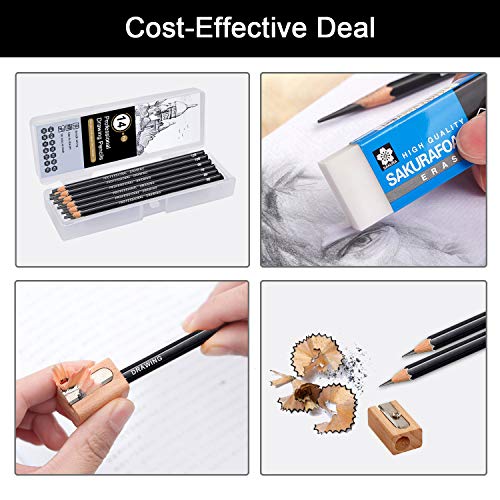 Telgoner Sketching Pencils, 17pcs Drawing Pencils Sketch Pencil Set 12B 10B 8B 7B 6B 5B 4B 3B 2B B HB 2H 4H 6H Artist Pencil for Kids & Adults Art Pencils with Eraser Sharpener Pencil Case