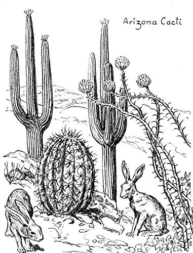 Drawing Trees (Dover Art Instruction)