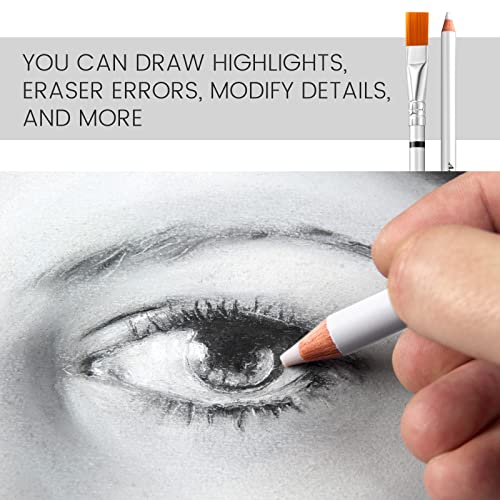 Faccito 12 Pcs Eraser Pen with Brush Art Eraser Pencil Rubber Pencil Erasers for Artists