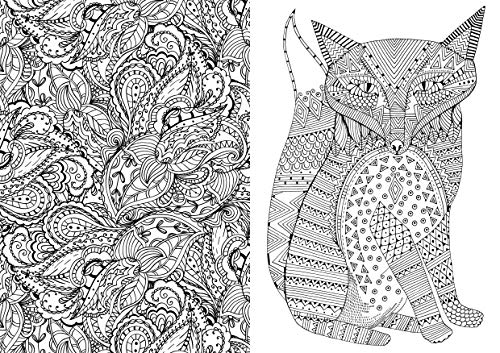 Art Therapy: An Anti-Stress Colouring Book: An Anti-Stress Colouring Book for Adults (Art Therapy Colouring)