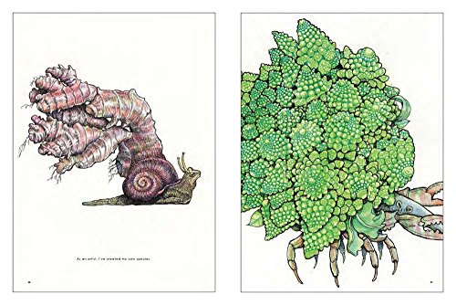 All My Photographs are Made with Pens