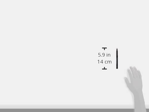 Faber-Castell Wallet Pitt Pen Nibs Art Set, Assorted