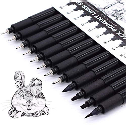 TWOHANDS Set of 12 Micro Pens, Fine Point, Fineliner Ink Pens, Pigment Pen,Technical Drawing pen, Black,Waterproof,for Art Watercolor,Sketching,Anime,Manga,Scrapbooking 20413