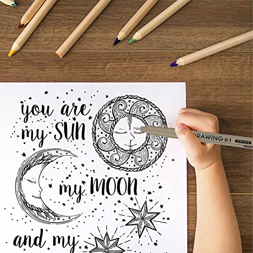 AIEX Drawing Art Pens, Micron Pen Set of 12 Black Multiliner Pens Waterproof Fineliner Ink Pens for Drawing and Sketching Smooth Writing Pigment Pen with Various Tip Sizes for Multi-Purpose