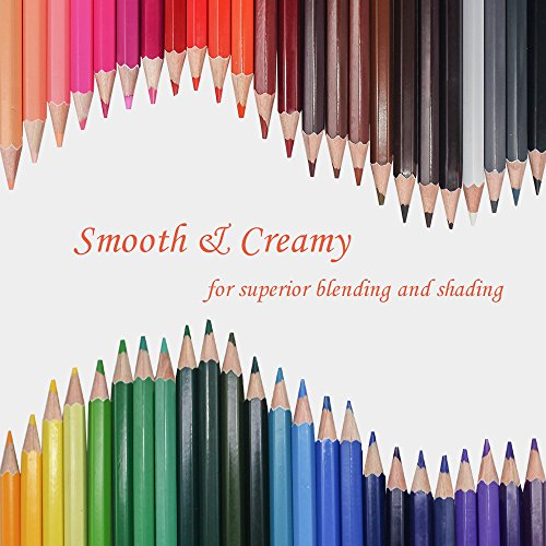 SCRIPTRACT Adult Colouring Pencils, 48 Coloured Pencil Set with Roll Up Canvas Pencil Wrap Sharpener Eraser, Stationary Pencils for Teen Girls, Artists Sketching, Kids Drawing (Set of 48)