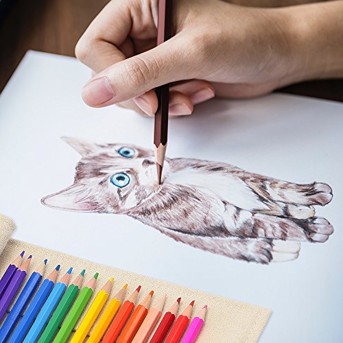 SCRIPTRACT Adult Colouring Pencils, 48 Coloured Pencil Set with Roll Up Canvas Pencil Wrap Sharpener Eraser, Stationary Pencils for Teen Girls, Artists Sketching, Kids Drawing (Set of 48)