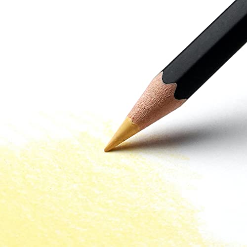 Derwent Academy Pastel Colour Pencils, Set of 12 in Tin, For Aspiring Artists, Ideal for Colouring & Drawing, Premium Quality, 2306022, Black