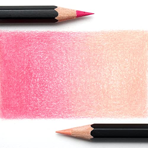 Derwent Academy Pastel Colour Pencils, Set of 12 in Tin, For Aspiring Artists, Ideal for Colouring & Drawing, Premium Quality, 2306022, Black