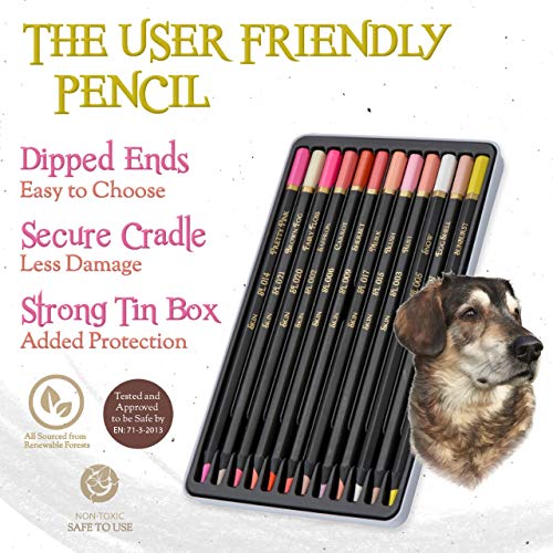Black Widow Colouring Pencils for Adults, Light Tone Skin Pencils, Perfect Coloured Pencils Set For Adults and Drawing Pencil For Artists, Ideal Portrait Set Colouring - Now With Light Fast Ratings