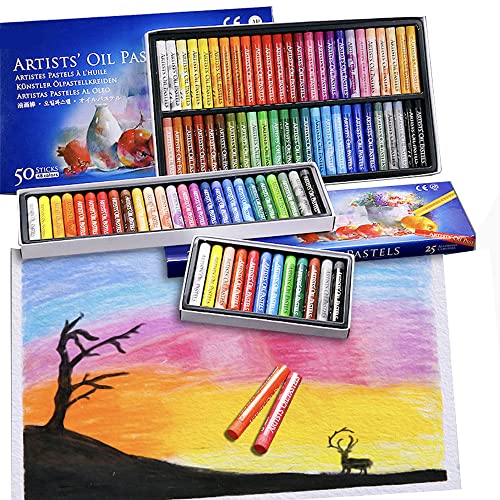 DZOZO Oil Pastel Set 48 Colors Soft Drawing Graffiti Art Crayons Pastel Sticks Set for Art Artist Crayons Oil Painting Sticks Professional Pastels Drawing Crayons Soft Oil Pastel for Kids and Adult