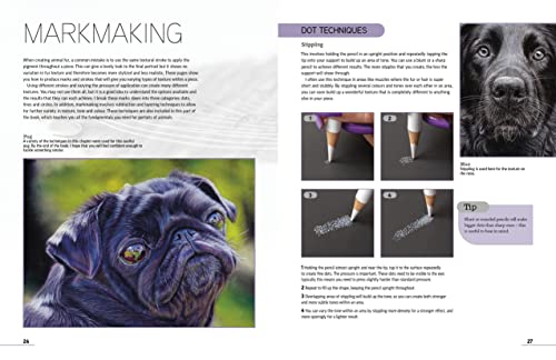 Drawing Animal Portraits in Coloured Pencil