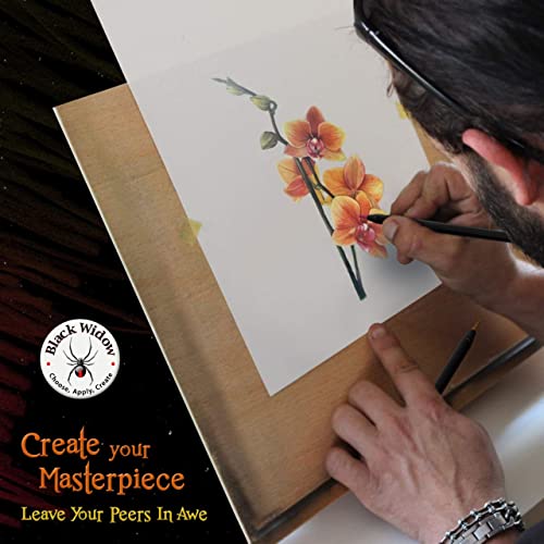 Black Widow Coloured Pencils For Adults - 24 Colouring Pencils - Smooth Pigments Colour Pencil Set - Best For Adult Colouring Pencil Drawing