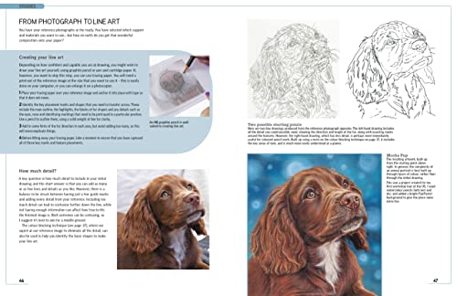 Drawing Animal Portraits in Coloured Pencil