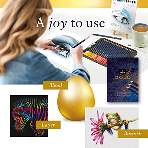 Castle Art Supplies Gold Standard 72 Colouring Pencils Set | Quality Oil-based Coloured Cores Stay Sharper, Tougher Against Breakage | For Adult Artists, Colourists | In Presentation Tin Box