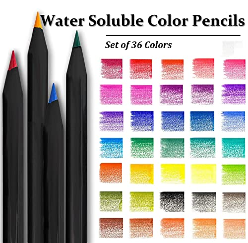 Colouring Pencils For Adults, Surcotto 36 Drawing Pencils, Coloured Pencils sketching pencils Artist Pencil Set for Beginner Children Drawing Painting Writing Colouring Book, Black Wood,Pre-sharpened