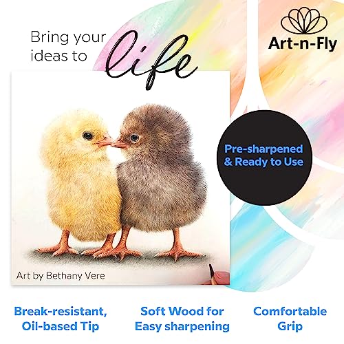 Art-n-Fly 48 Oil Pastel Pencils for Artists - Oil Based Coloured Pencils - Drawing, Sketching and Adult Colouring - Soft Core Art Colouring Pencils Set with Skin Tone