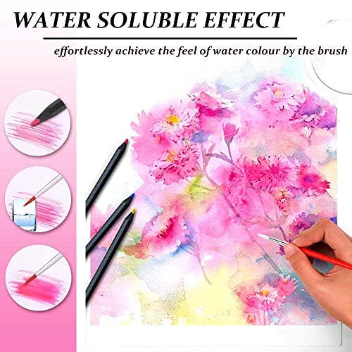 Colouring Pencils For Adults, Surcotto 36 Drawing Pencils, Coloured Pencils sketching pencils Artist Pencil Set for Beginner Children Drawing Painting Writing Colouring Book, Black Wood,Pre-sharpened