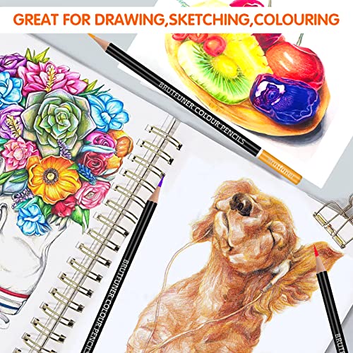 Efimeso 100 Colouring Pencils, Professional Coloured Pencils with Black Zipper Case,Colouring Pencils Set Ideal for Adults Kids Artists Drawing Sketching Colouring