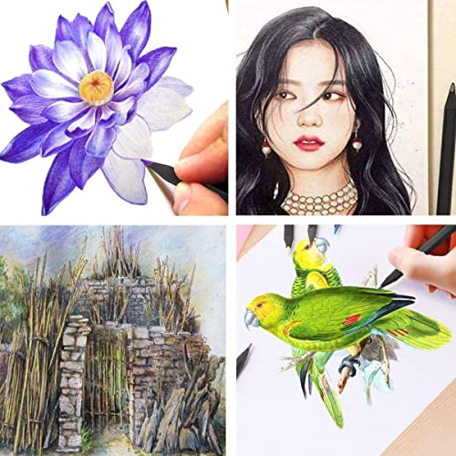 Colouring Pencils For Adults, Surcotto 36 Drawing Pencils, Coloured Pencils sketching pencils Artist Pencil Set for Beginner Children Drawing Painting Writing Colouring Book, Black Wood,Pre-sharpened