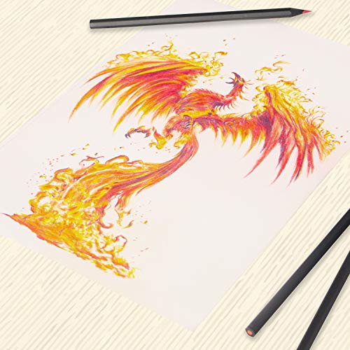 SCRIPTRACT Coloured Pencils Drawing 24 Pencils Colouring Pencils Artist Pencil Set Perfect for Adults Colouring and Children Sketching(24 colors)