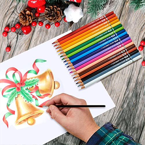 STATIONERY ISLAND Water Coloured Pencils 24 Colours for Artists Colouring Watercolour Pencil Set Water-Soluble with Paintbrush for School Kids Adults Art Drawing and Painting