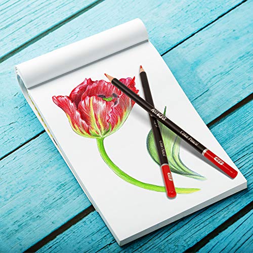 Artworx Premium Artist Colouring Pencils - 72 Coloured Pencils For Adults - Coloring Pencil Crayons Set