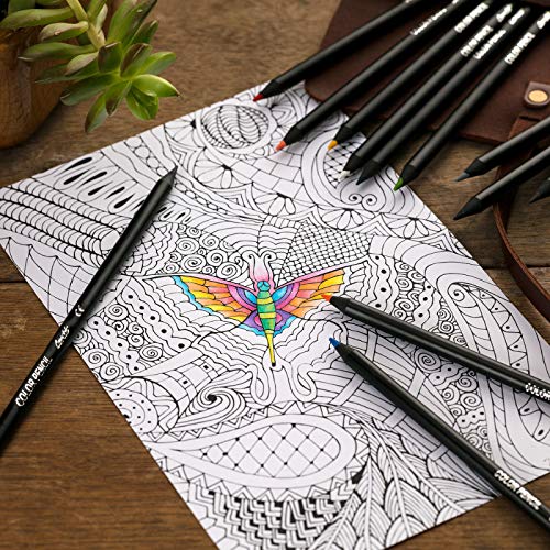 BIC Conte Colouring Pencils - Wood Free Colouring Pencils - Easy To Sharpen - Multi-Coloured, Tin of 12