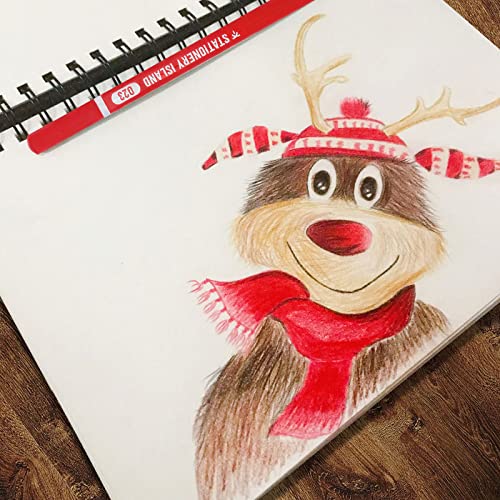 STATIONERY ISLAND Water Coloured Pencils 24 Colours for Artists Colouring Watercolour Pencil Set Water-Soluble with Paintbrush for School Kids Adults Art Drawing and Painting