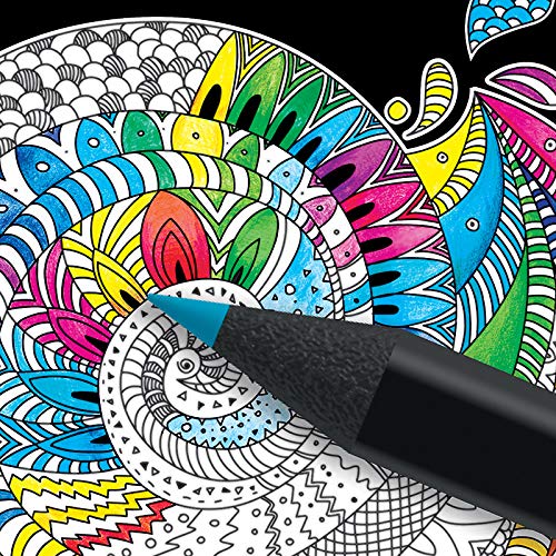 BIC Conte Colouring Pencils - Wood Free Colouring Pencils - Easy To Sharpen - Multi-Coloured, Tin of 12