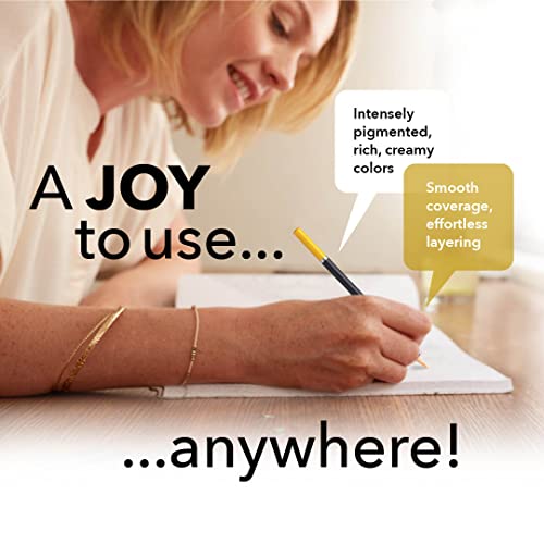 Castle Art Supplies 120 Colouring Pencils Set | Quality Soft Core Coloured Leads for Adult Artists, Professionals and Colourists | Protected and Organised in Presentation Tin Box