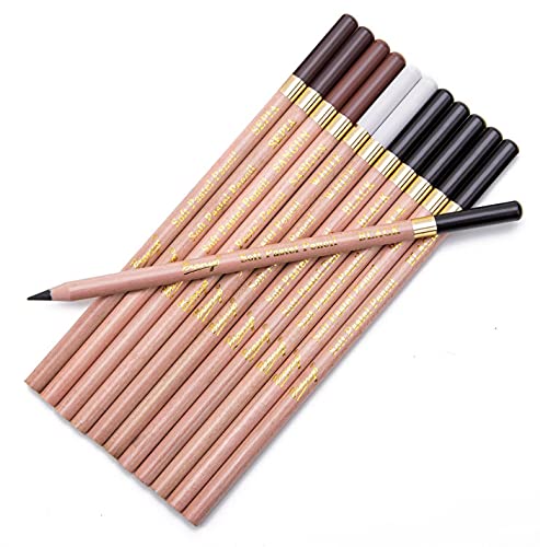 12 Pack Professional Charcoal Coloured Pencil Set White Black Brown Tinted Sketch Pencils Drawing Set Art Painting Supplies Pencils for Drawing, Sketching, Shading Chalk Pencils for Beginner & Artist