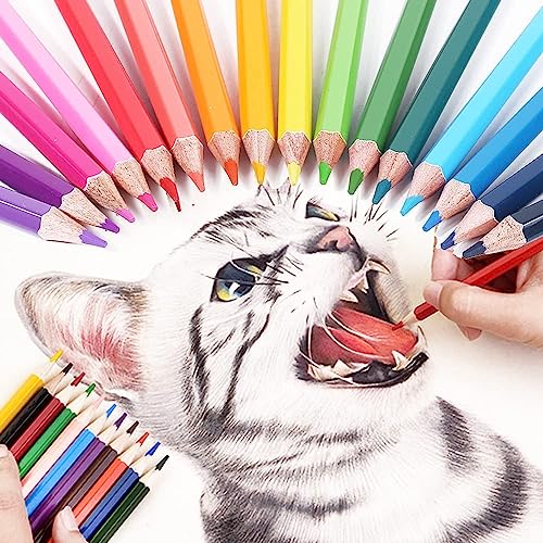 CYPER TOP 80 Colouring Pencils for Adults, Soft Core Coloured Pencils Set for Children, Beginners, and Artists, Professional Drawing Pencils Set Art Supplies for Blending, Sketching