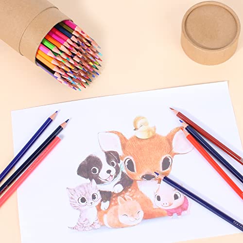 CYPER TOP 80 Colouring Pencils for Adults, Soft Core Coloured Pencils Set for Children, Beginners, and Artists, Professional Drawing Pencils Set Art Supplies for Blending, Sketching