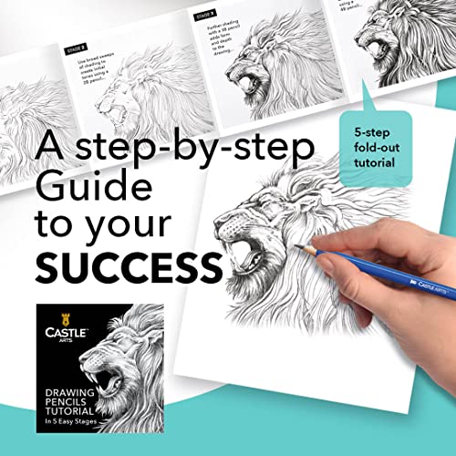 Castle Art Supplies 12 Piece Graphite Drawing Pencils Set | For Adult Artists – Beginners and Advanced | Presented in Attractive, Compact, Sturdy Metal Case With Tutorial