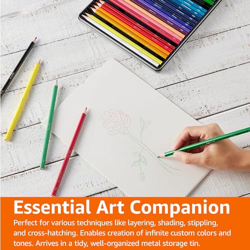 Amazon Basics Coloured Pencils in Tin Box, Pack of 36 - Assorted Colours