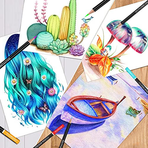 Melifluo 72 Colouring Pencils Set with Black Portable Zipper Bag. Professional Coloured Pencils Perfect for Adult and Artists Sketching, Shading and Doodling