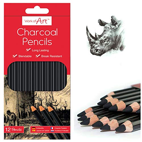 SDMAX Charcoal Pencils For Drawing Sketching Shading Draw Tones Shades 12pcs