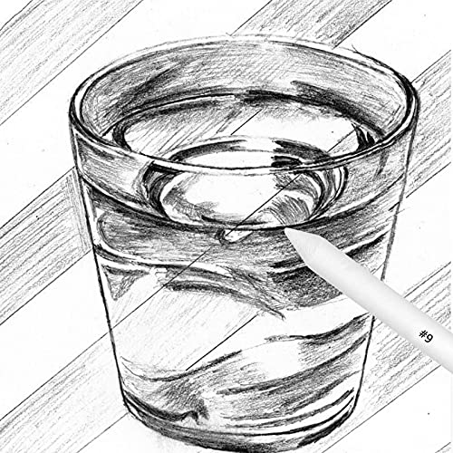 13 Pcs Blending Stumps and Tortillions Set Paper Art Blenders Drawing Stumps Smudge Sticks Sketch Tools with Sandpaper Pencil Sharpener for Student Artists Beginners Sketch Drawing and Detail Painting