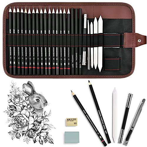 Professional 27 Pcs Sketching Pencils Set, Drawing Art Pencils with Eraser Extender Canvas Pencil Case 3H HB 2B 4B 6B 8B for Sketch Artist Beginners Kids Adults Everyday Office Use