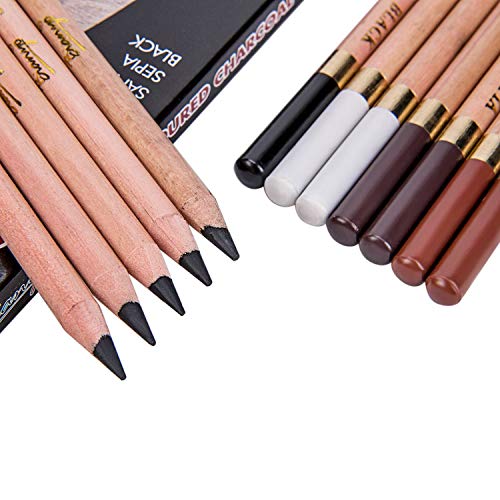 12 Pack Professional Charcoal Coloured Pencil Set White Black Brown Tinted Sketch Pencils Drawing Set Art Painting Supplies Pencils for Drawing, Sketching, Shading Chalk Pencils for Beginner & Artist